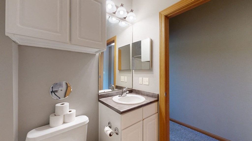a bathroom with a sink toilet and mirror with cabinet storage