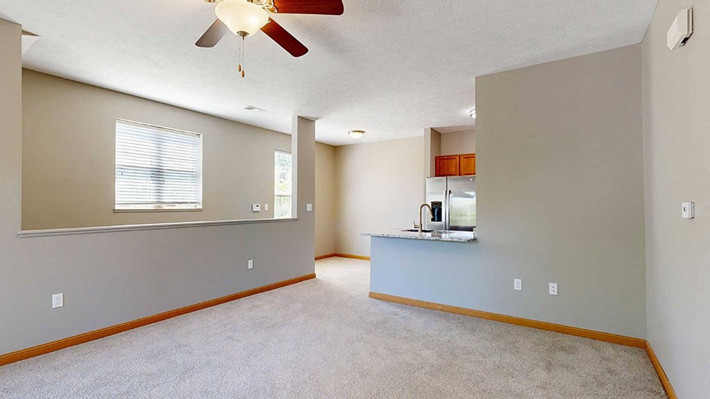 a living room adjacent to a kitchen and stairway leading to the entryway below