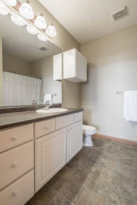 a bathroom with a sink toilet and a mirror