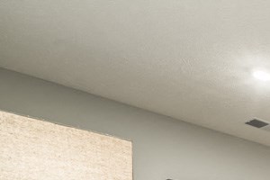 Interiors-Traditional design scheme with rich, dark cabinetry 1 bedroom apartment with dark cabinets in the Blackstone District near UNMC in Omaha