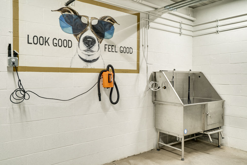 Pet wash station with hair dryer at The Conrad near UNMC in the Blackstone District Omaha NE 68105