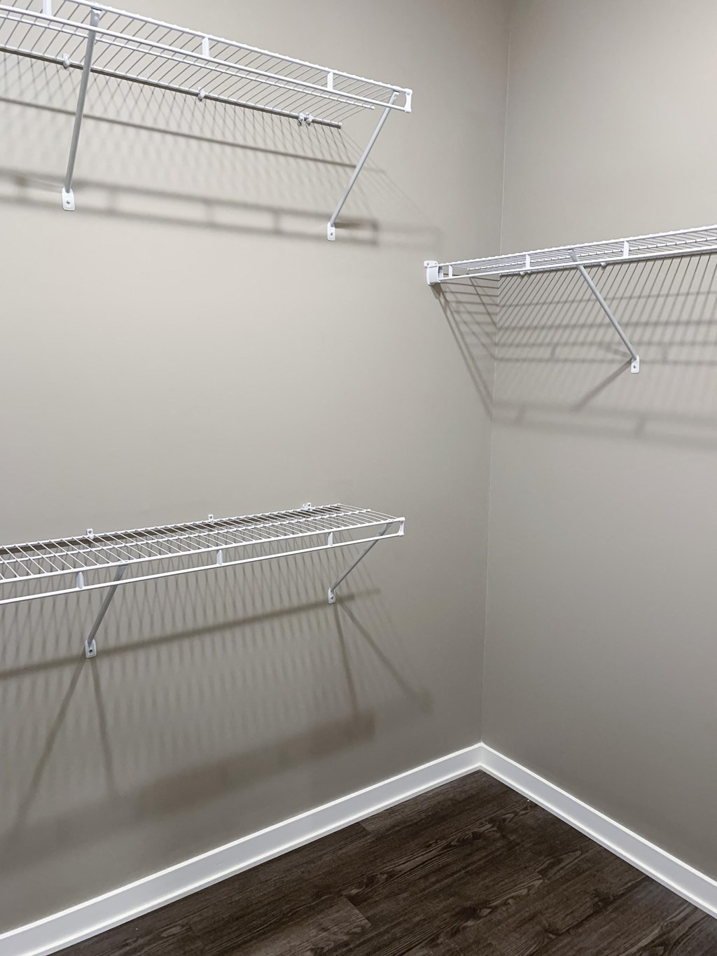 Walk-in closet with shelving and rods in the Plum studio apartment