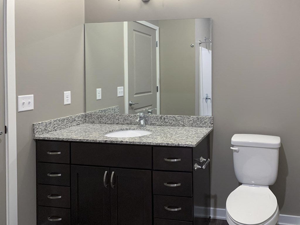 Dark brown vanity and mirror in the bathroom of the plum studio