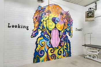 Mural of a colorful dog
