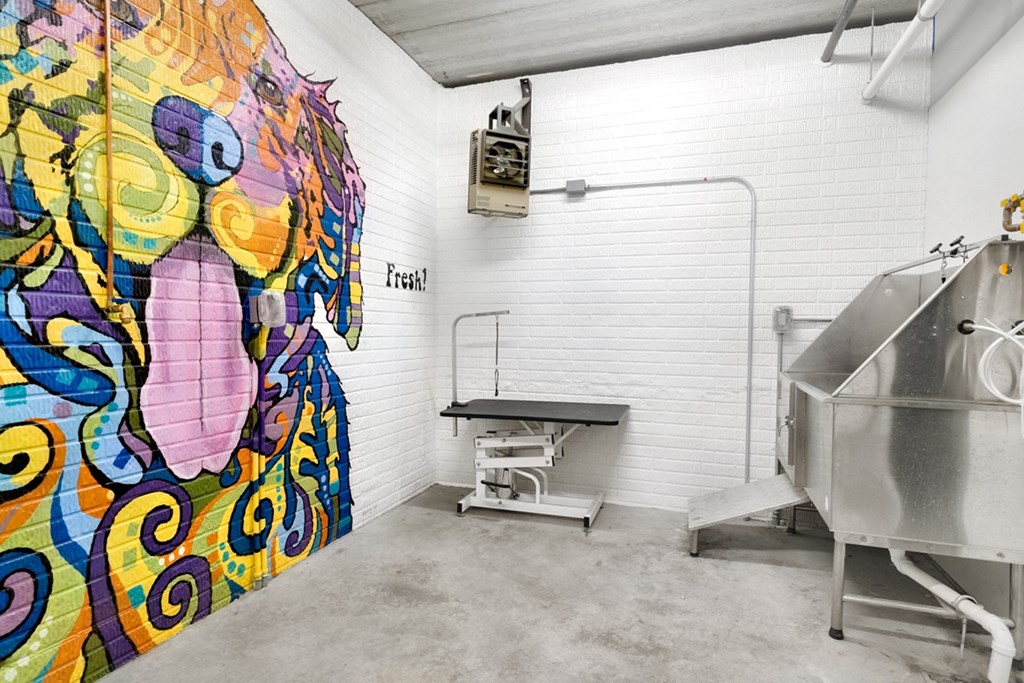 Indoor wash station for dogs, with one wall decorated with a  colorful mural