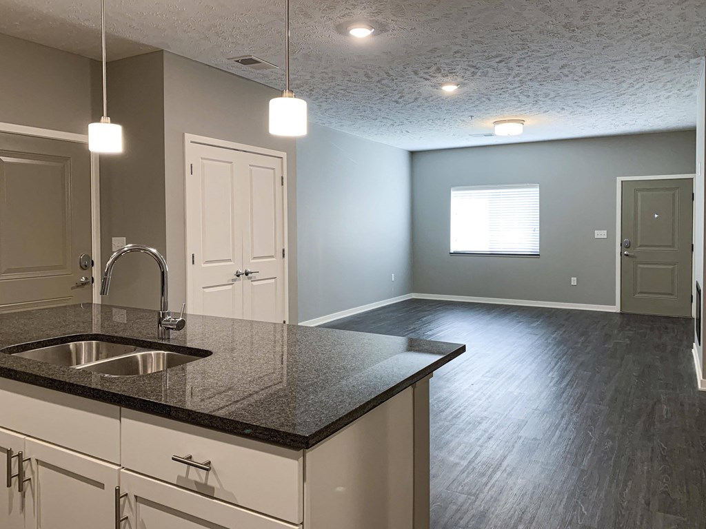 View of the living and dining area from the kitchen of the buffalo floorplan
