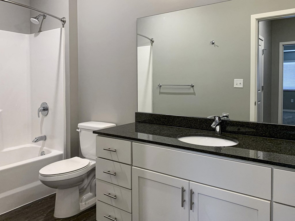 Bathroom with large white vanity and mirror in the buffalo floorplan