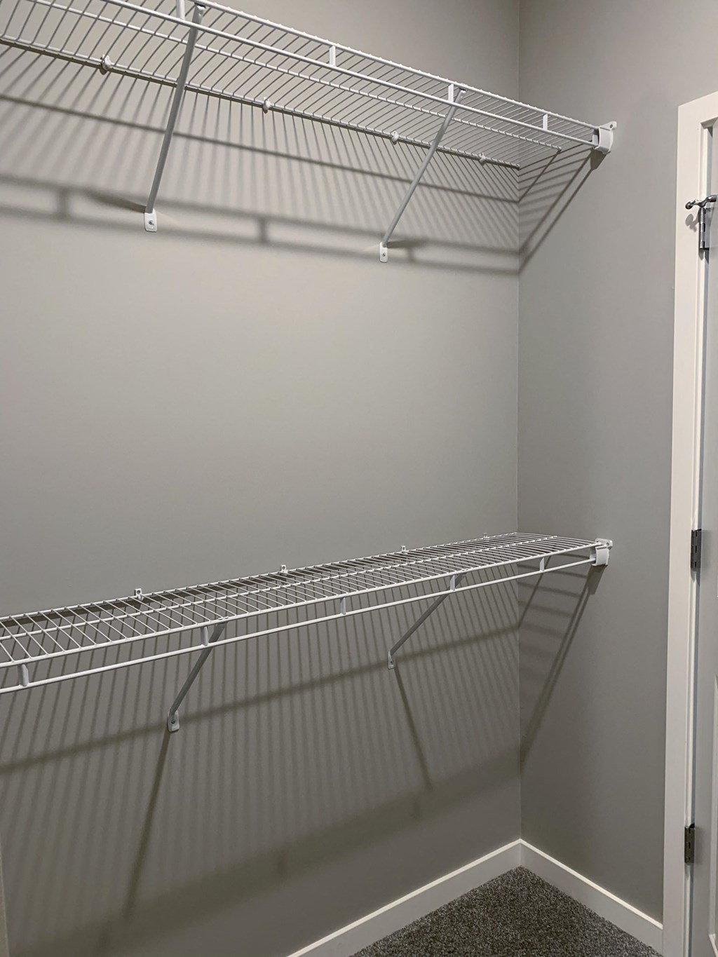 Walk in closet with ample shelving and hanging space in the buffalo floorplan