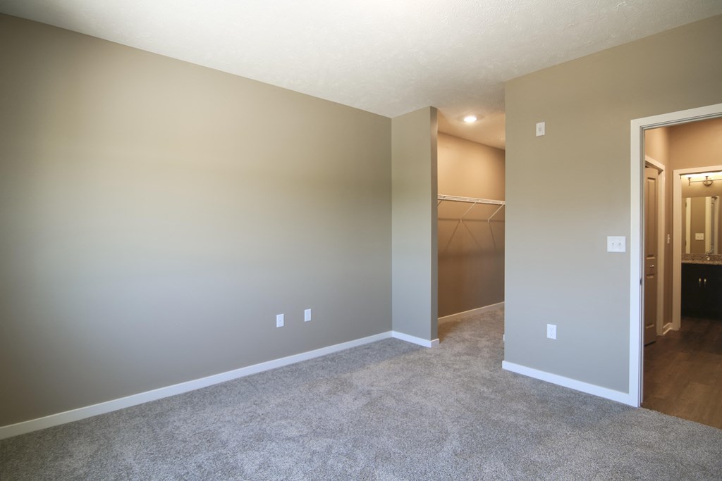 Carpeted bedroom with walk in closet