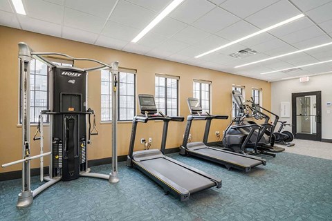 a fitness center with exercise machines, treadmills, and ellipticals