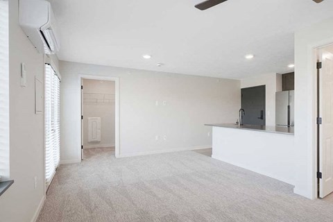 The main room with a large walk-in closet