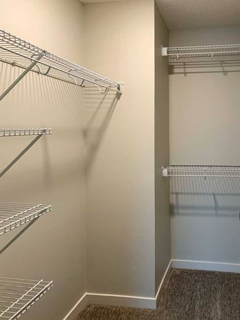 walk-in closet with shelving and a carpeted floor