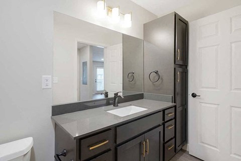 The hallway bath featuring a large vanity sink with tall cabinet storage on the right side