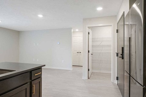 A walk-in kitchen pantry featuring built-in shelving
