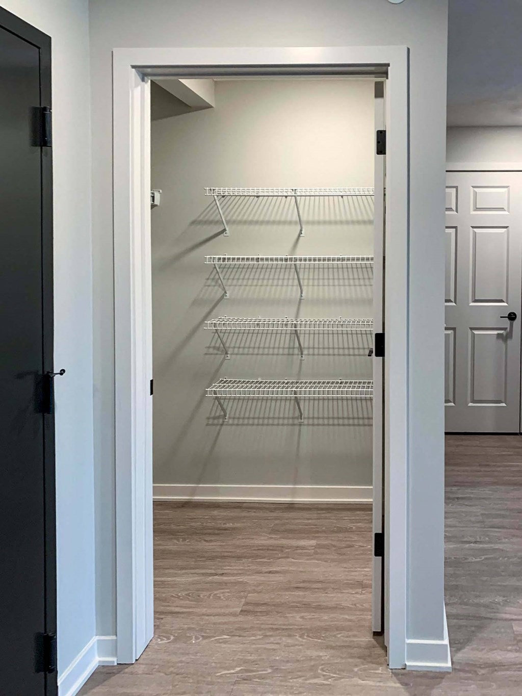 a walk in closet in by the front door