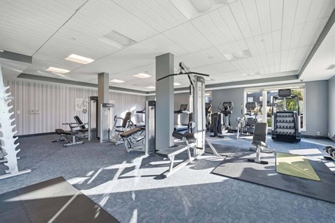 Fitness center with weight machines, workout benches, ellipticals, a stair climber, and large windows.