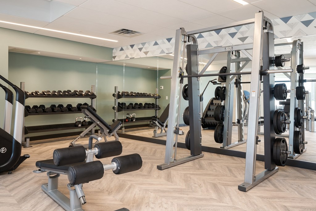 Community gym with a variety of workout and fitness equipment at The Rowan