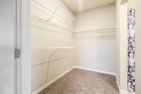 A white closet with a carpeted floor and a door.