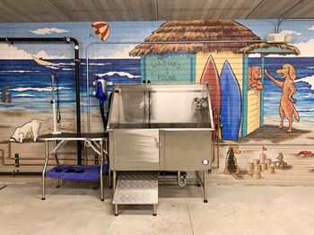 a stainless steel dog wash in front of a beach mural