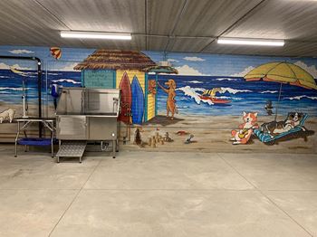 a stainless steel dog wash in front of a beach mural