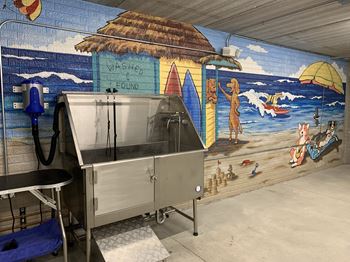 Pet was station with beautiful colorful mural at the villas at falling waters