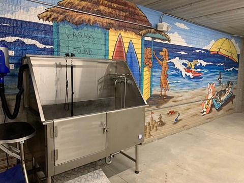 a stainless steel dog wash in front of a beach mural