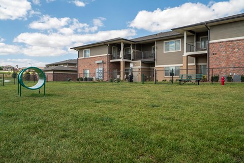 Grassy dog park with fence around it