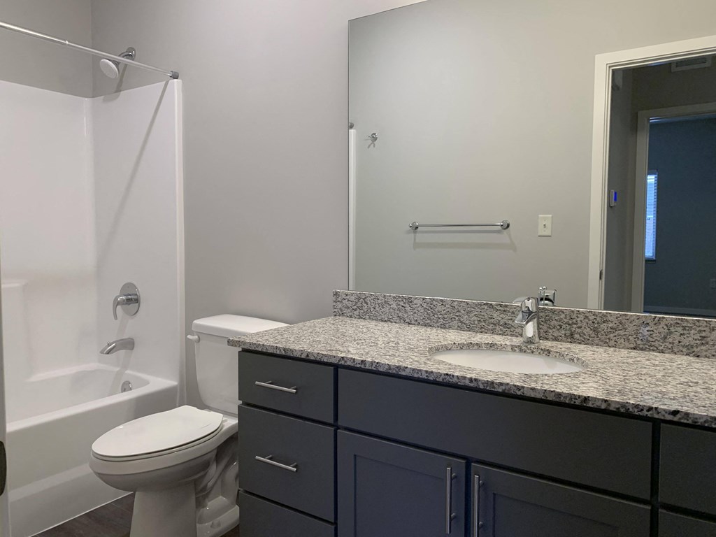 Bathroom with slate gray vanity and linen cabinet for storage and large mirror