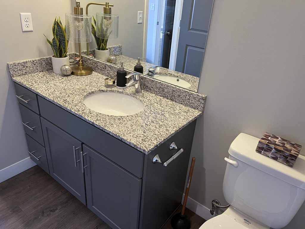 Bathroom with slate gray cabinets and light granite countertops