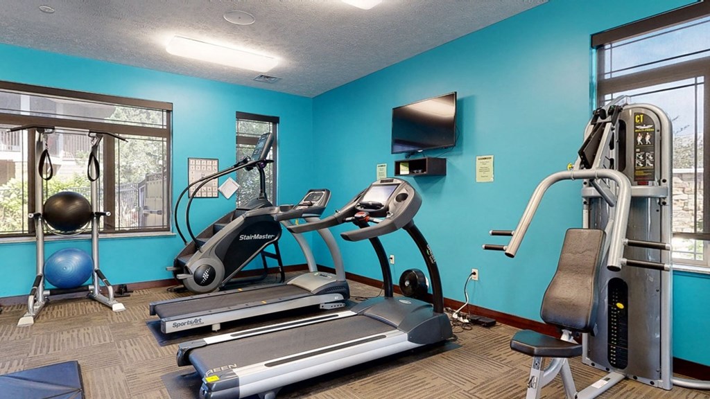 24 hour gym with exercise equipment and a flat screen tv