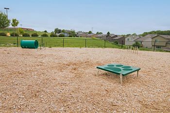 a dog run with an agility course