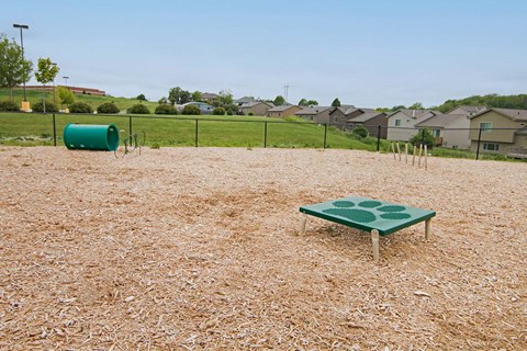 a dog run with an agility course