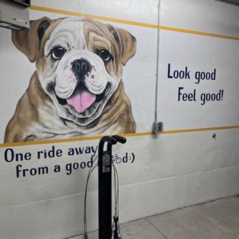 A mural of a bulldog on the wall next to the bike repair station at WH Flats in Lincoln, NE