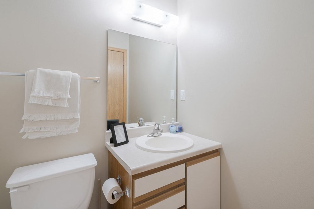 a bathroom with a toilet, sink, and a mirror