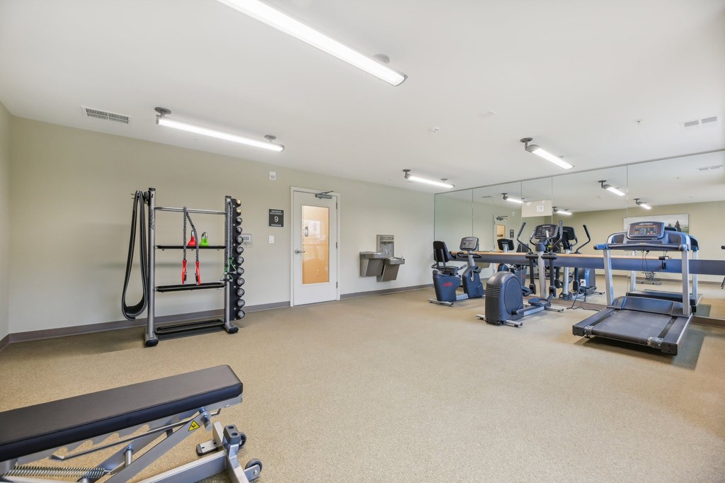 A gym with a variety of equipment including a bench, weights, and a treadmill.