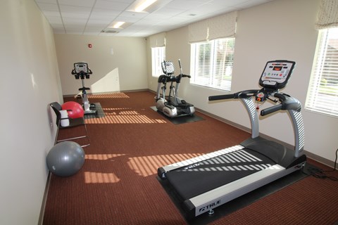A gym with a treadmill, exercise bike, and other equipment.
