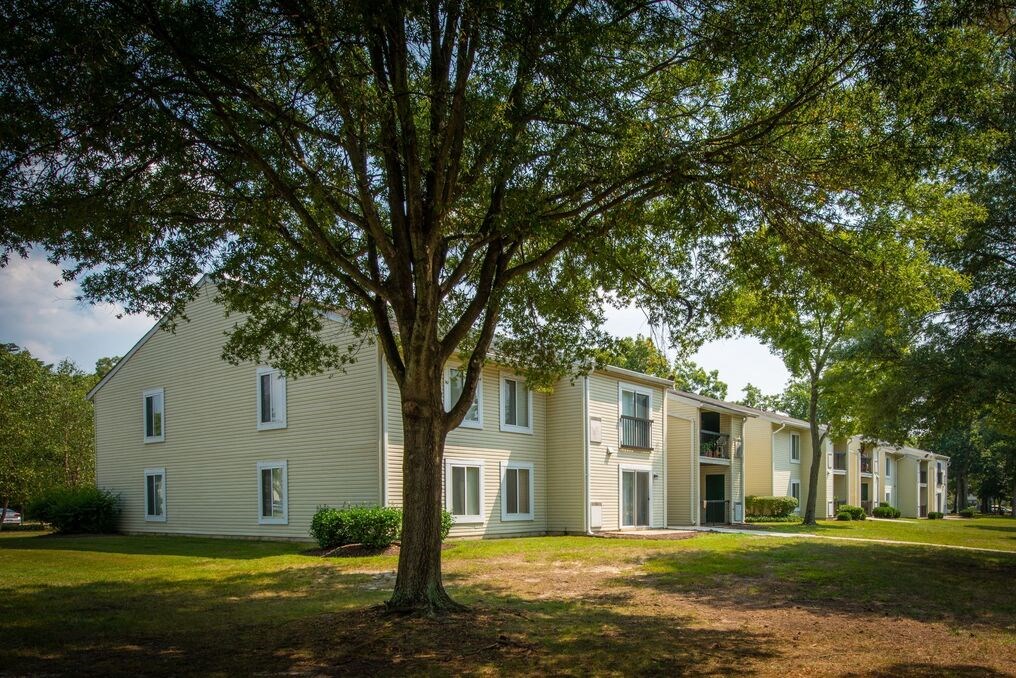 a grassy area with a tree in front of a building