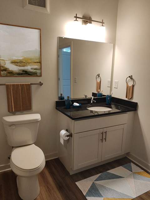 a bathroom with a toilet and a sink and a mirror