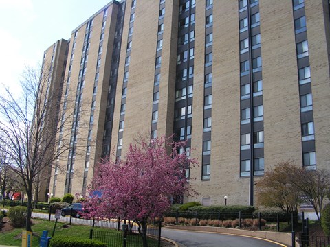 A tall building with a tree in front of it.