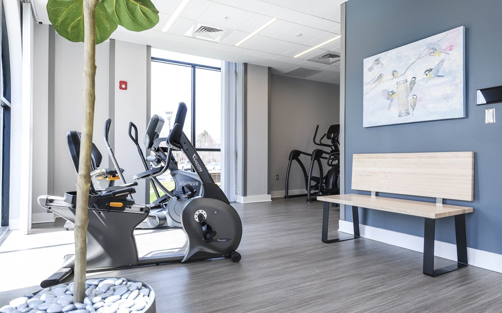 a gym with exercise equipment and a large map on the wall