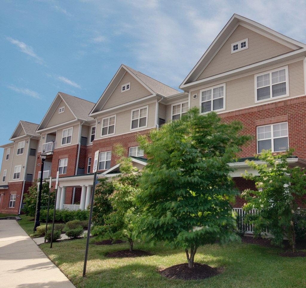 a row of houses on a sidewalk in front of a tree