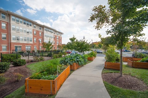 a sidewalk with a garden in front of a building