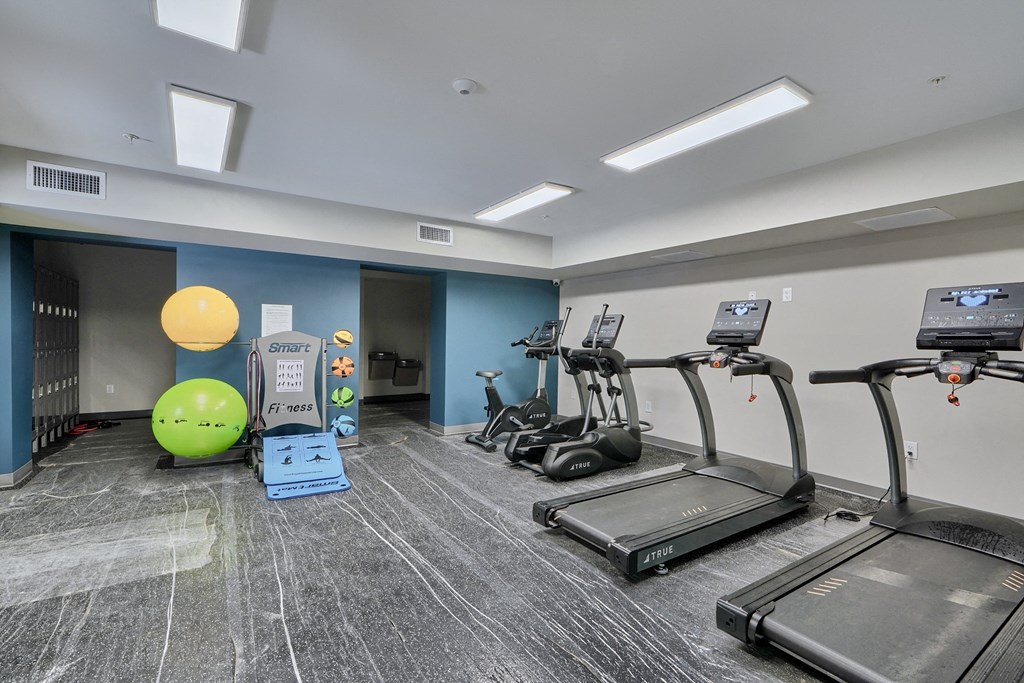 A gym with treadmills, exercise balls, and other equipment.