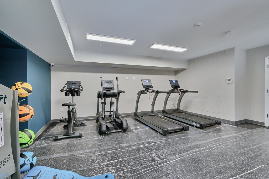 A gym with treadmills and elliptical machines.