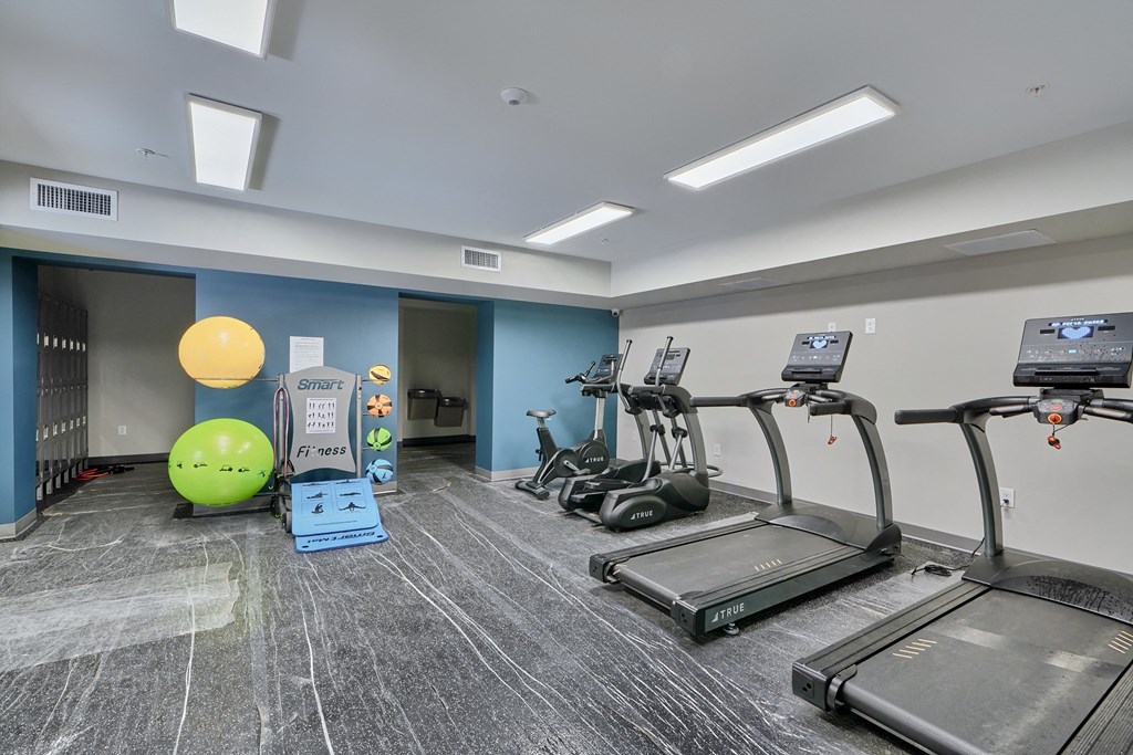 A gym with treadmills and exercise equipment.