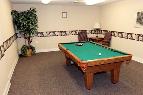 Entertainment Room