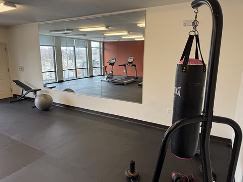 A gym with a punching bag, a mirror, a treadmill and a ball.