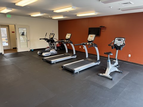 A gym with treadmills and elliptical machines.