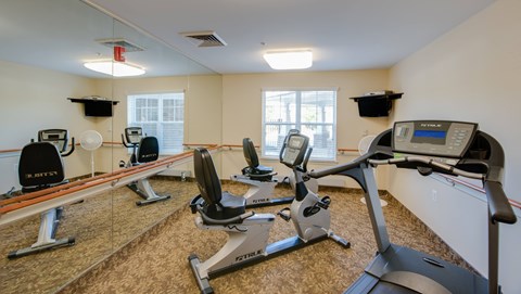 A gym with treadmills, elliptical machines, and exercise bikes.