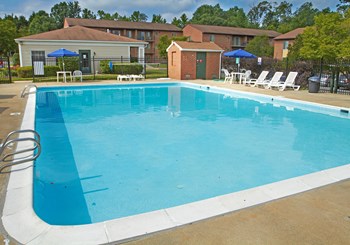 Large Swimming Pool - Photo Gallery 3